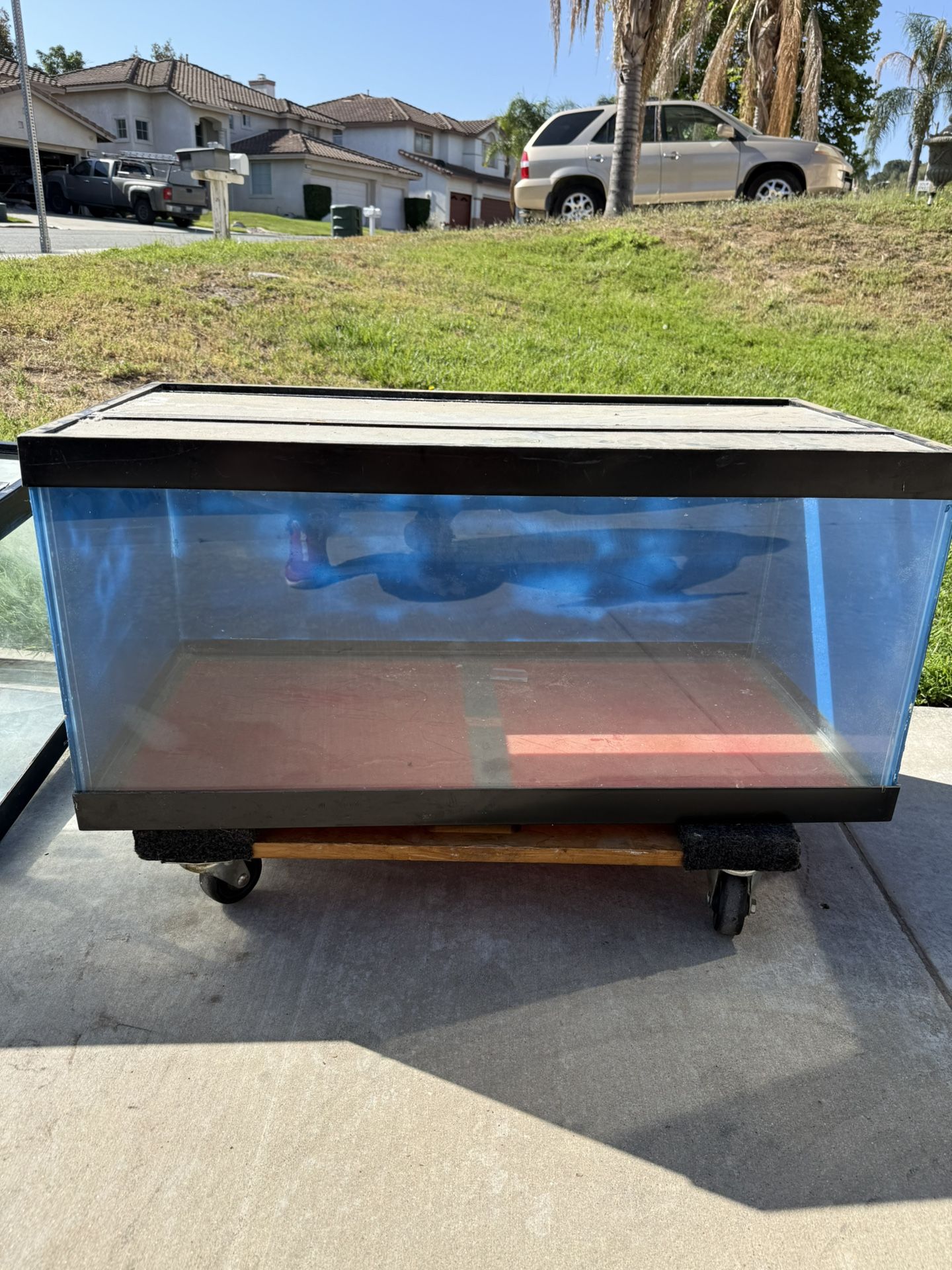 Fish Tank