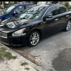 2010 Nissan Maxima