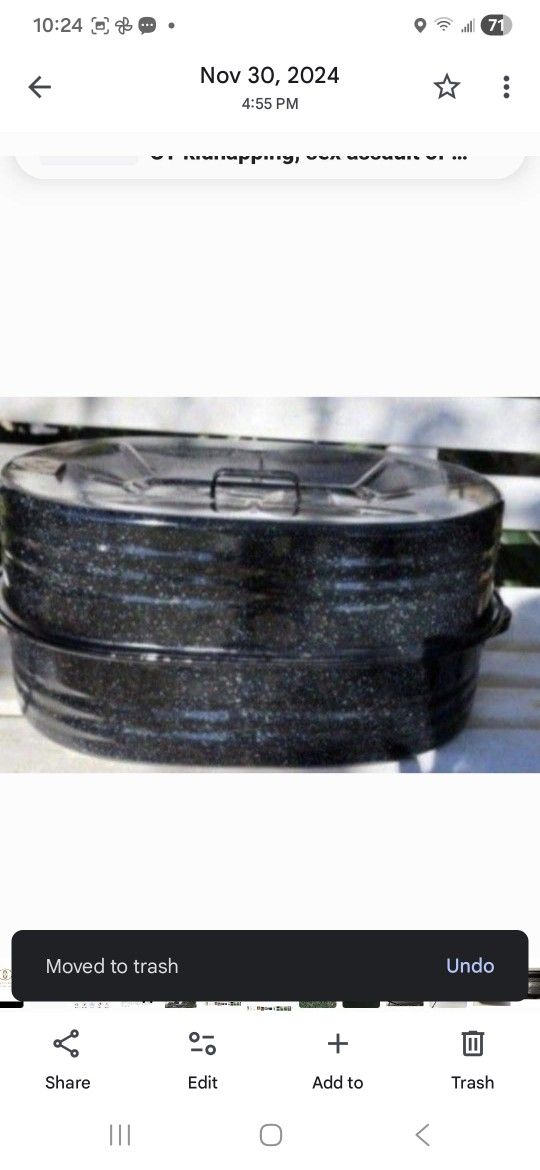 Turkey Roaster with Lift Out Pan, See 2nd Pic