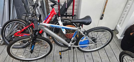 Highland Mountain Bike Silver and Blue