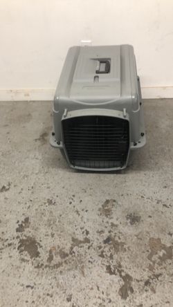 21wx21hx27”L medium size dog good condition like newt