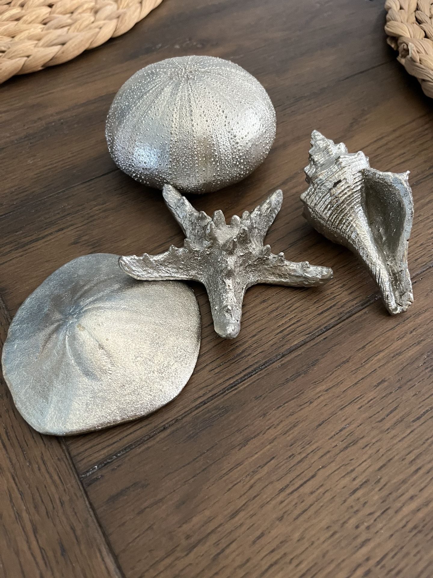Silver Shell, Urchin, Starfish & Sand Dollar