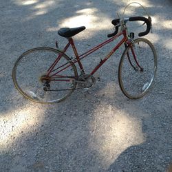 Firenze 15 Speed