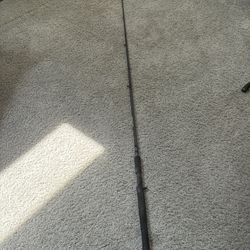St Croix Bass x
