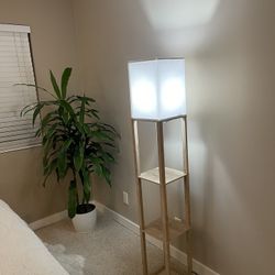 Floor Lamp With Shelf