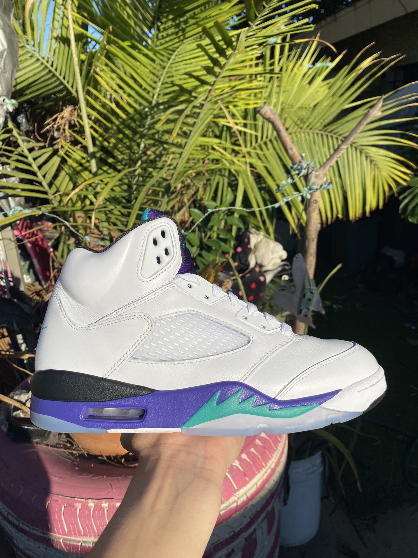 Jordan 5 Grape