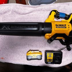 Dewalt Blower With Battery/Charger