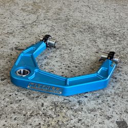 Mazzulla King Blue UCA Available To Order