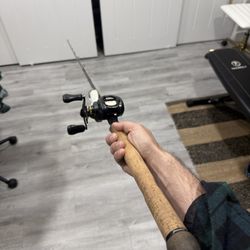 Fenwick Elite Bait Casting Rod