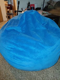 Brand new bean bag chair
