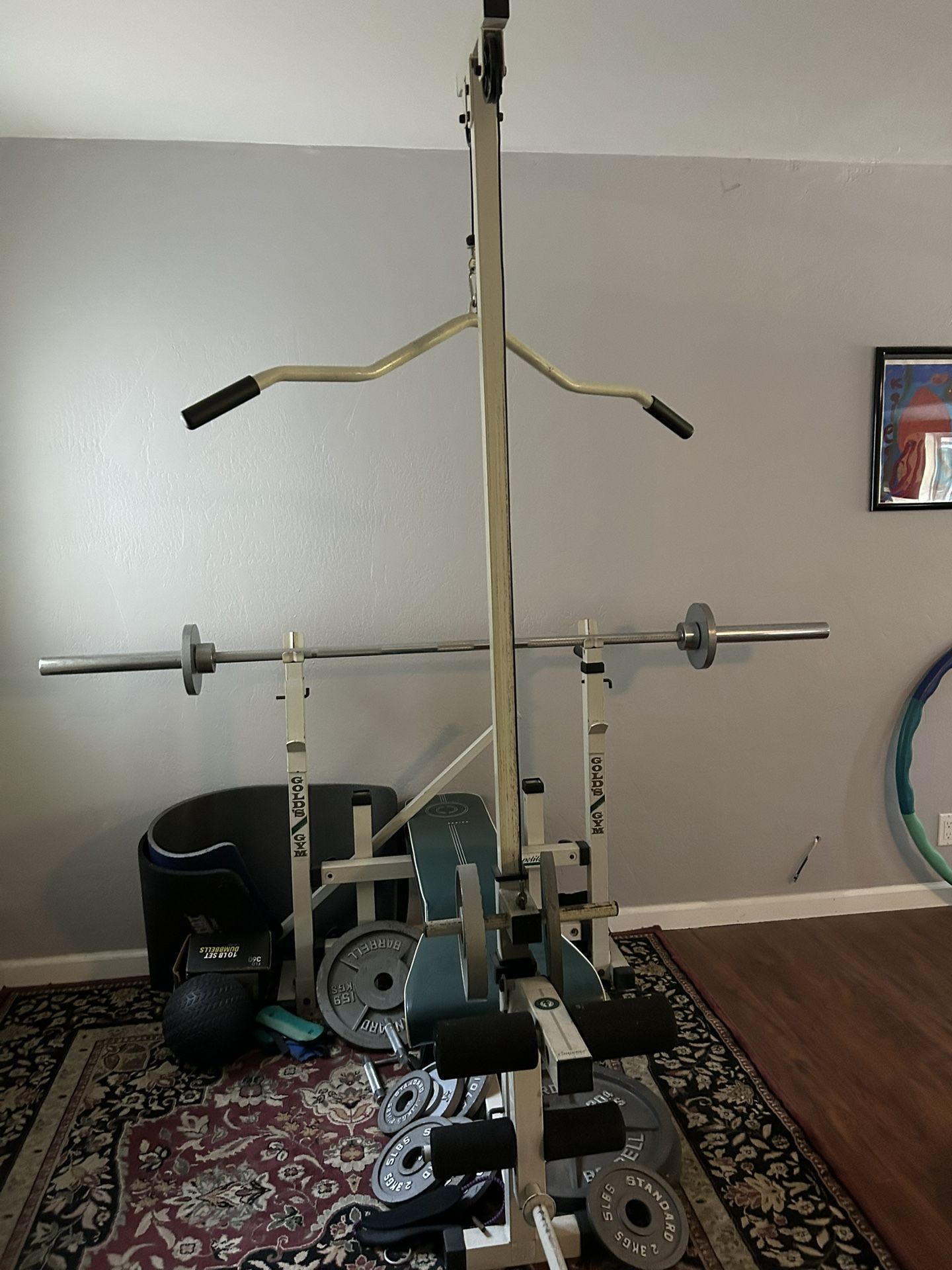 Bench $100 Weights $250 OBO