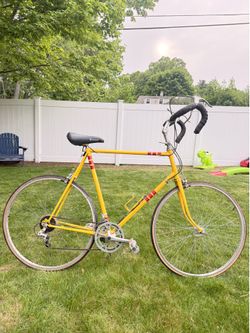 Vintage Takara Road Bike -  XLarge Frame