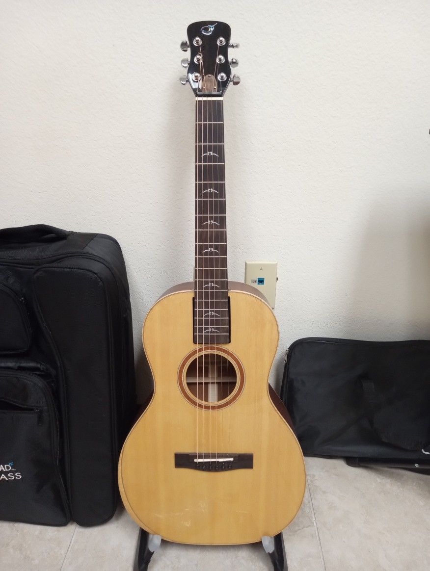 Journey Instruments Travel Parlor Guitar