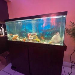 75 Gallon Fish Tank W/ Stand & Accessories