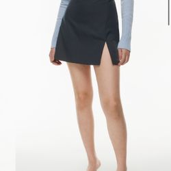 NWT Aritzia Tatiana Skirt Size Six
