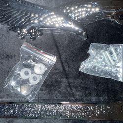 New  Car License Plates