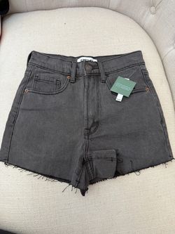 Womens size 23 shorts brand new