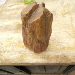 Petrified Wood 