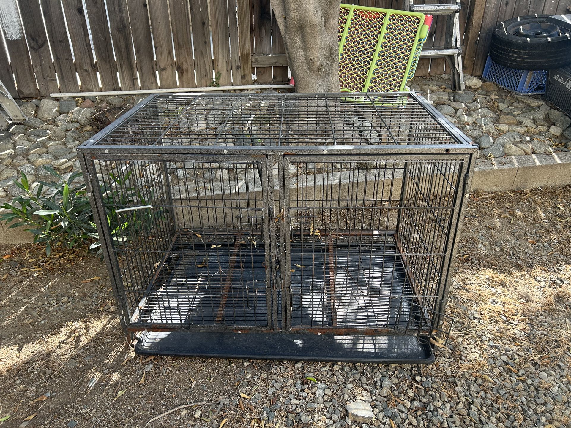 Kennel Dog