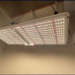 2 Spiderfarmer SF2000 Grow Lights