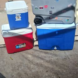 Igloo clean 50 for all