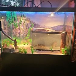 Led Fish Tank 