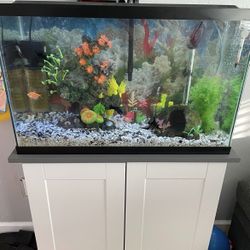 29 gallon fish tank 