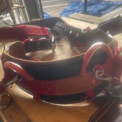 Weaver Climbing Saddle Double D Ring Size Medium