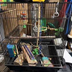 Bird cage Plus Extras