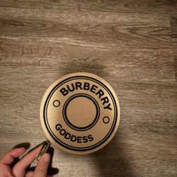 burberry jewelry case