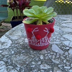 Christmas Plant Holder Holds A 4” Plant For A Cute Gift. With Or Without Plant.