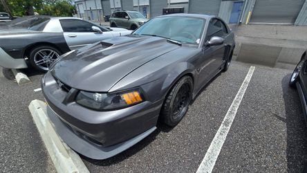 2000 Ford Mustang