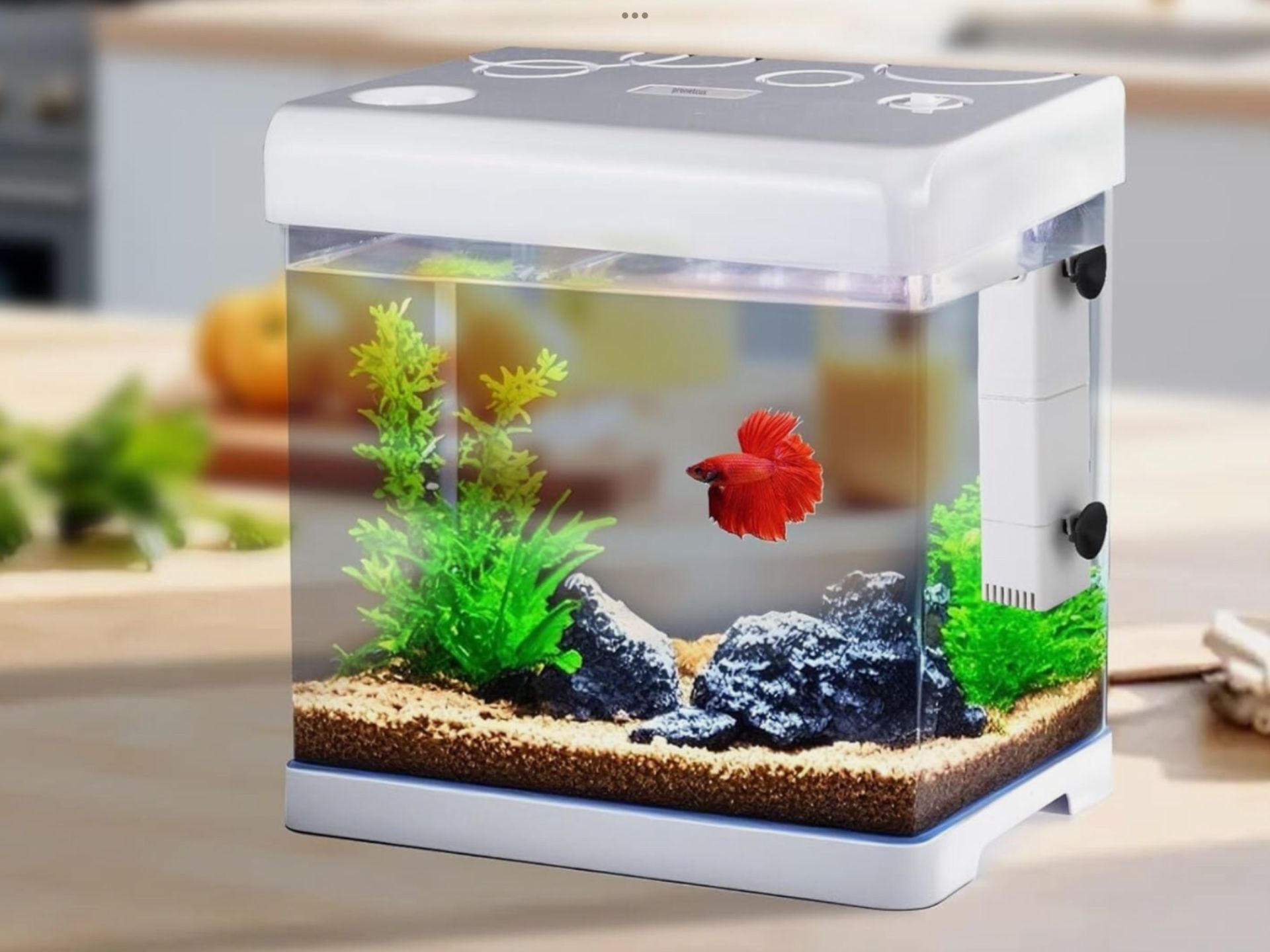 Amazon Complete 5 Gallon Aquarium Starter Kit with LED Light - Betta-Friendly Design. $50.00 Pick Up In South Gate