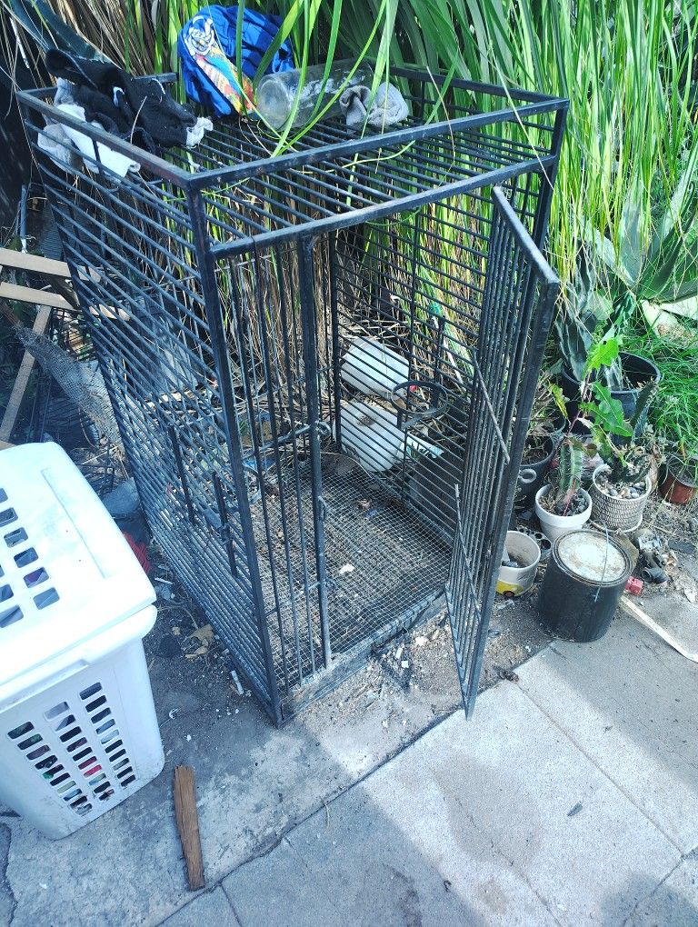 Black Parrot Cage