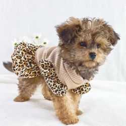 xs Leopard Dog Tutu Dress