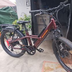 Radster Trail Electric Off Road Bike 