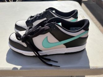 Nike Dunks (NEW)