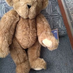 Vermont Bear