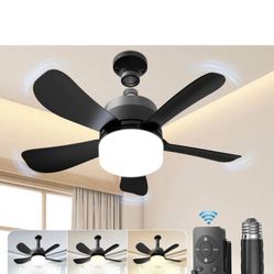 ceiling fan