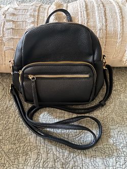 Black Purse
