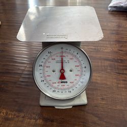 Manual Scale 