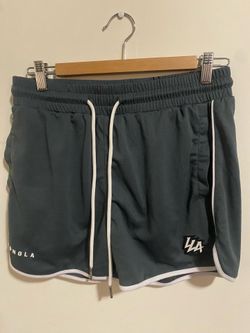 Youngla 5 inch inseem gray shorts