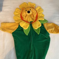 Winnie The Pooh Costume