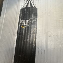New In Box Punching Bag And Mount