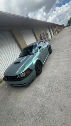 2004 mustang