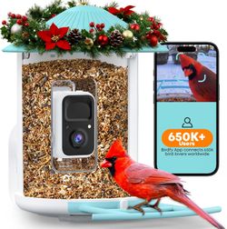 NETVUE by Birdfy Smart Bird Feeder with AI Camera, Auto Capture Video & Motion Detection, Real-Time Steam, Wireless Bird Watching, Outdoor Backyard Bi
