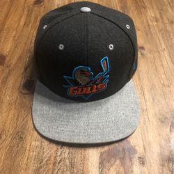 San Diego Gulls SnapBack Hat
