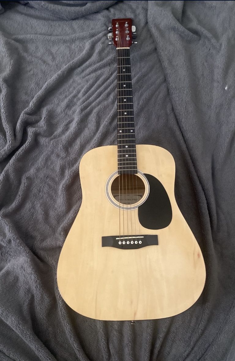 New York Pro Acoustic Guitar model Ny 42