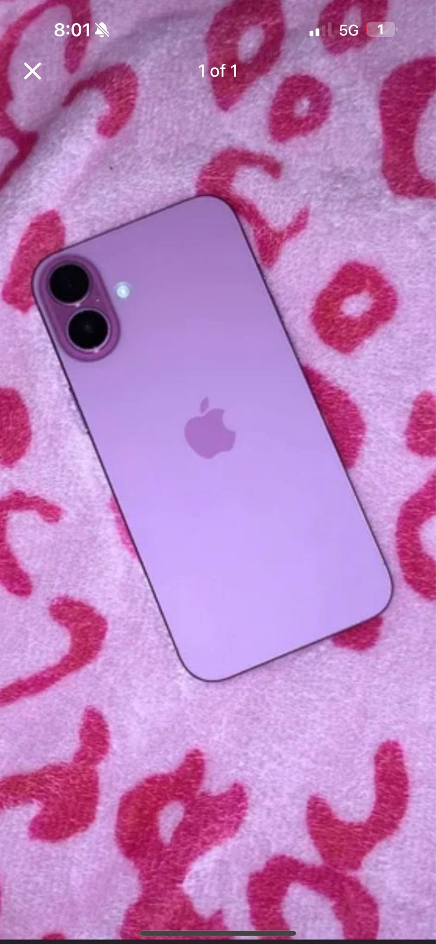 iPhone 16 Plus