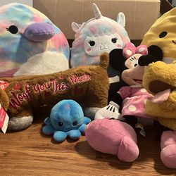 Squishmallow and others 
